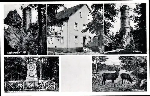 Ak Seesbach im Hunsrück, Koppenstein, Alteburg, Wildgruppe, Gasthof Alteburg Trifthütte