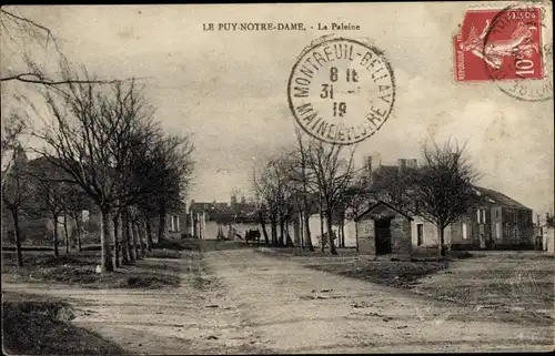 Ak Le Puy Notre Dame Maine et Loire, La Paleine