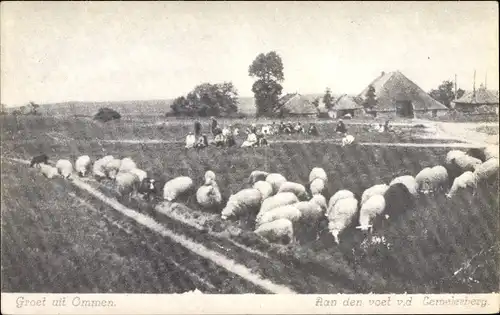 Ak Ommen Overijssel Niederlande, Aan den voet v. d. Gemelerberg