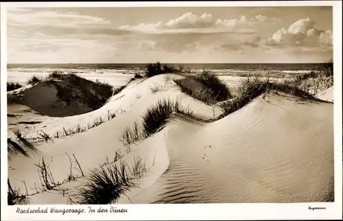 Ak Nordseebad Wangerooge in Ostfriesland, In den Dünen