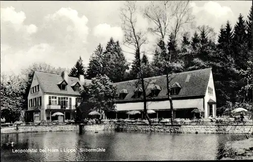 Ak Leopoldstal Horn Bad Meinberg am Teutoburger Wald, Silbermühle