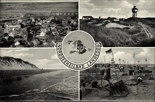 Ak Nordseebad Langeoog Ostfriesland, Strandleben, Dünen, Robbe, Ort