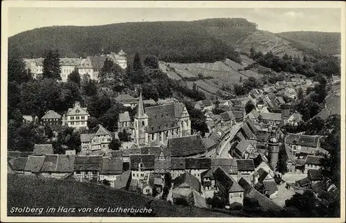 Ak Stolberg Südharz, Blick von der Lutherbuche, Stengel 61594