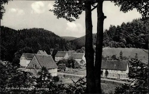 Ak Bad Grund im Harz, Laubhütte, Wohnhäuser, Straßenpartie