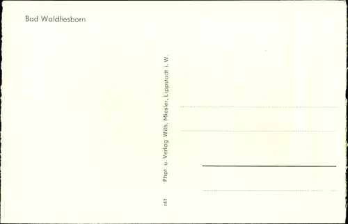 Ak Bad Waldliesborn Lippstadt in Westfalen, Kurpark, Weg zum Bad, Badehaus, Logierhäuser