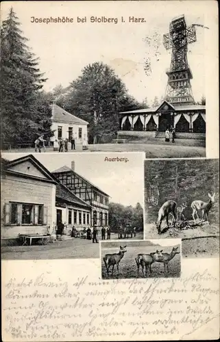 Ak Stolberg Südharz, Josephshöhe, Auerberg, Rehe, Aussichtsturm, Gasthaus