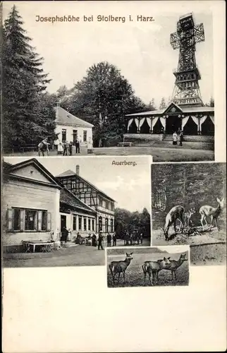Ak Stolberg Südharz, Josephshöhe, Aussichtsturm, Rehe, Gasthaus, Auerberg