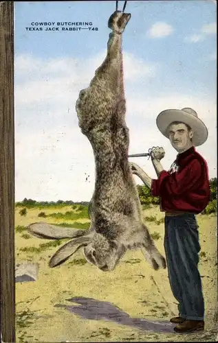 Ak USA, Cowboy butchering Texas Jack Rabbit