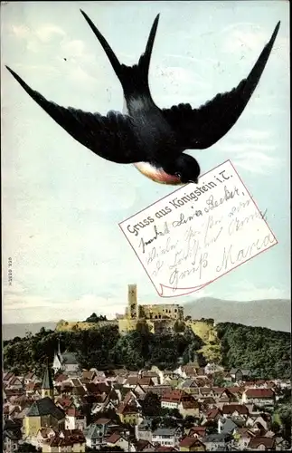 Ak Königstein im Taunus, Gesamtansicht, Schwalbe