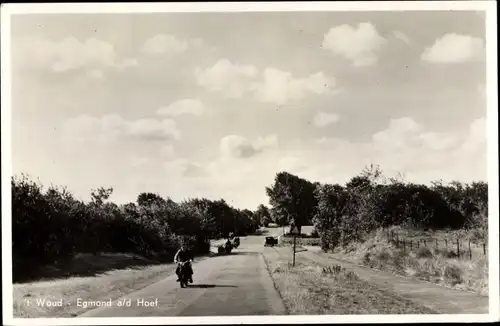 Ak Egmond aan de Hoef Nordholland, 't Woud