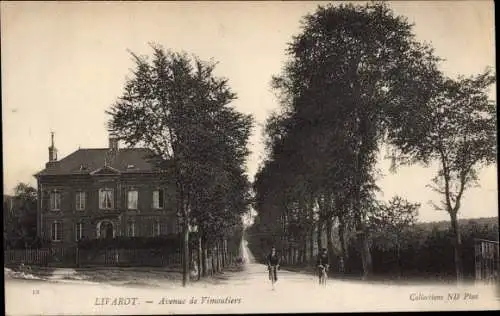 Ak Livarot Calvados, Avenue de Vimoutiers
