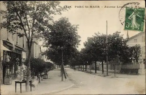 Ak Le Parc de Saint Maur Val de Marne, L'Avenue Louis