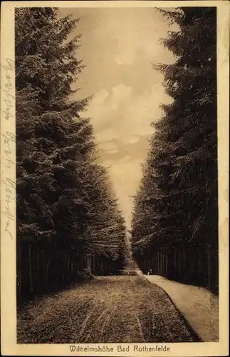 Ak Bad Rothenfelde am Teutoburger Wald, Wilhelmshöhe