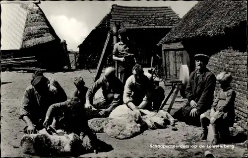 Ak Lemelerveld Overijssel, Schaapscheerders ob de Lemelerberg, Schafscherer