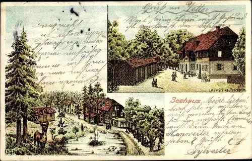 Künstler Litho Sieck, Pforzheim im Schwarzwald, Gasthaus Seehaus