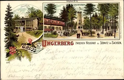 Litho Ungerberg Neustadt Sachsen, Sennhütte, Prinz Georg Turm