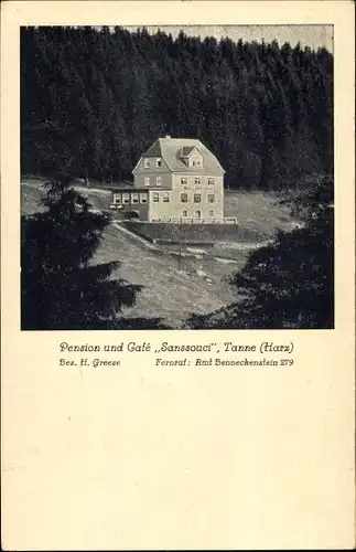 Ak Tanne Oberharz am Brocken, Blick auf die Pension Sanssouci, Inh. H. Greese