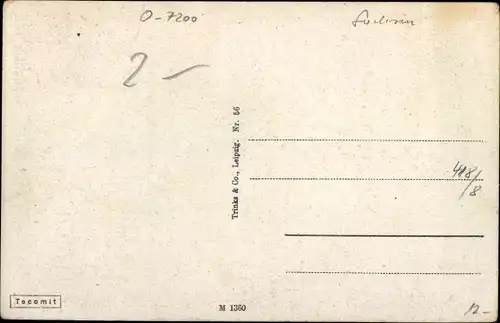 Ak Borna im Kreis Leipzig, Stadtansichten, Rathaus, Reichstor, Denkmal, Kirche