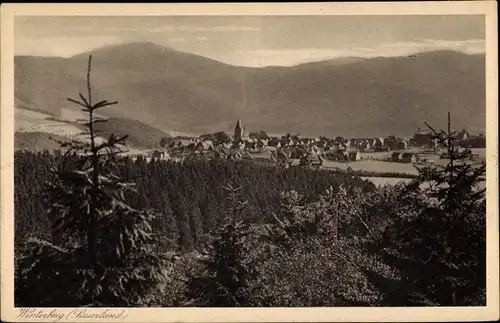 Ak Winterberg im Hochsauerlandkreis, Sicht von weitem, Tannen, Wald