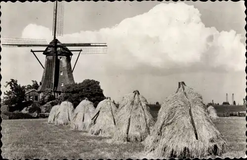 Ak Aalsmeer Nordholland, Watermolen