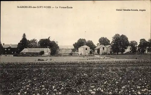 Ak Saint Georges des Sept Voies Maine et Loire, La Ferme Ecole