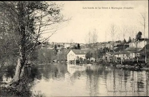 Ak Mortagne Vendée, Les bords de la Sevre