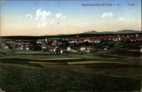 Ak Benneckenstein Oberharz, Panorama