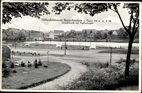 Ak Benneckenstein Oberharz, Gondelteich, Parkanlagen