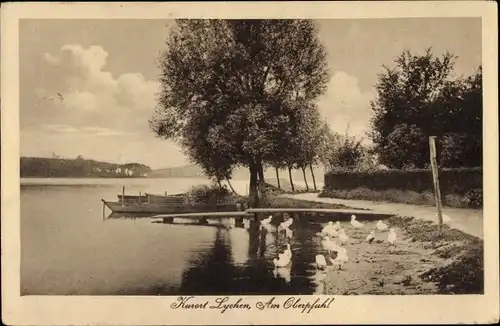 Ak Lychen in der Uckermark, Am Oberpfuhl