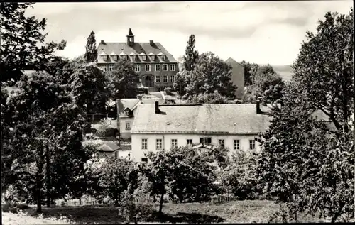 Ak Langenau Brand Erbisdorf, Häuser im Ort, Wald