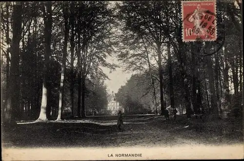 Ak Orne Frankreich, La Normandie, Waldpartie, Allee