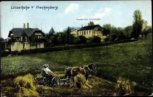 Ak Lützelhöhe Frankenberg an der Zschopau, Restaurant, Feldarbeit