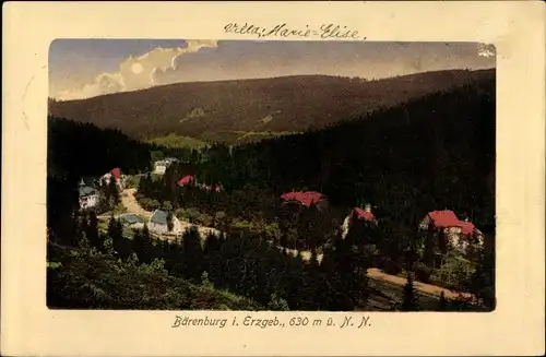 Ak Bärenburg Altenberg im Erzgebirge, Villa Marie Elise