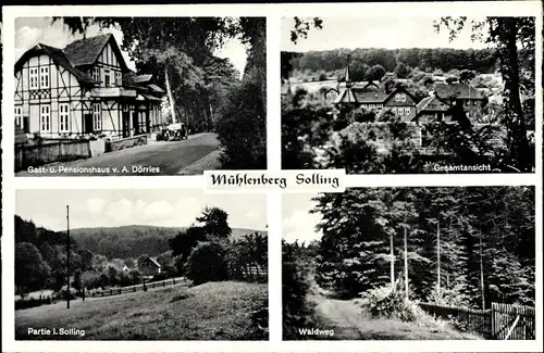 Ak Mühlenberg Holzminden an der Weser, Waldweg, Gesamtansicht, Pensionshaus Sollingsruh