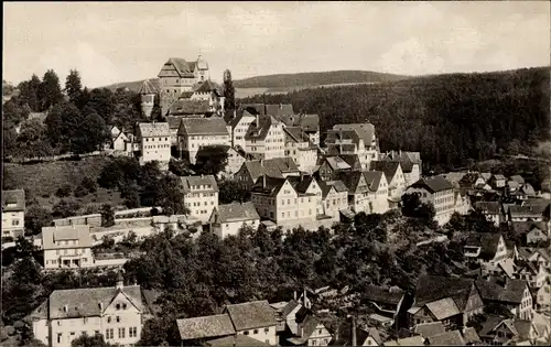 Ak Altensteig im Schwarzwald, Ortsansicht