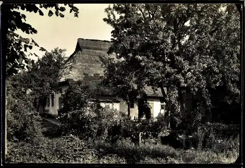 Foto Rewal Rewahl Pommern, Dorfpartie, Haus mit Reetdach