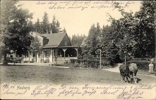 Ak Friedrichroda im Thüringer Wald, Blick auf den Heuberg, Kühe, Mädchen, Wiese, Gutshaus