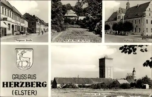 Ak Herzberg Elster, Rathaus, Wasserturm mit Sternwarte, Torgauer Str., Wappen, Park