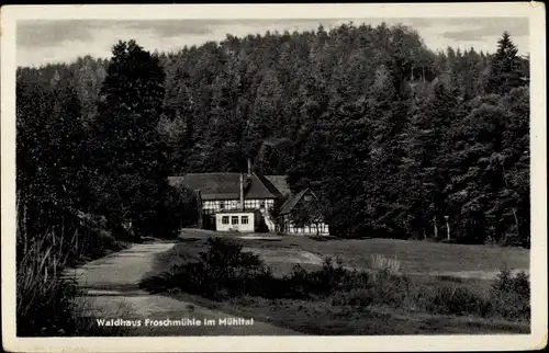 Ak Eisenberg im Saale Holzland Kreis, Waldhaus Froschmühle, Mühltal