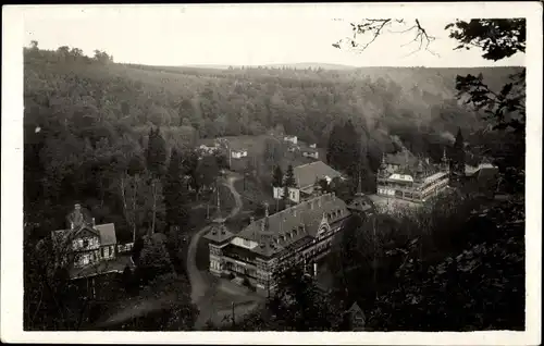 Ak Alexisbad Harzgerode am Harz, Stahlbad aus der Vogelschau