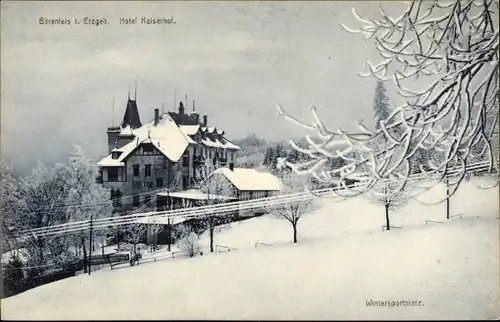 Ak Bärenfels Altenberg im Erzgebirge, Hotel Kaiserhof, Winteransicht