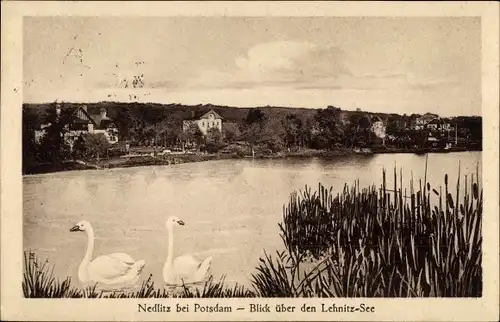 Ak Nedlitz Potsdam in Brandenburg, Blick über den Lehnitzsee, Schwäne, Parkrestaurant
