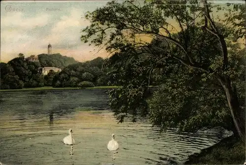 Ak Greiz im Vogtland, Parksee, Schwäne