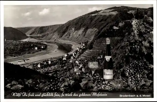 Ak Brodenbach an der Terrassenmosel, Weinterrassen, Moselwein, Fluss, Ort, Berge