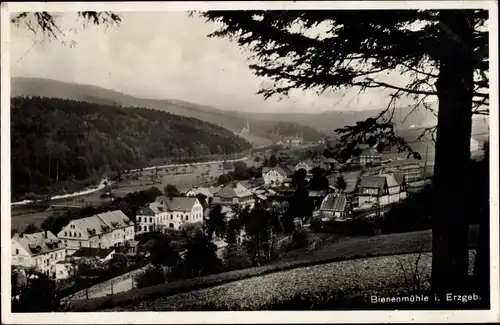 Ak Rechenberg Bienenmühle Erzgebirge, Blick auf den Ort