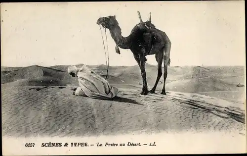 Ak Scenes et Types, La priere au desert, Araber beim Gebet, Kamel