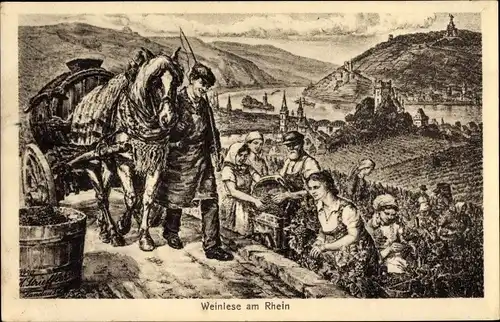 Künstler Ak Weinlese am Rhein, Pferdefuhrwerk, Weinberg