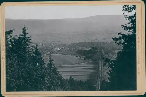 Kabinettfoto Bad Pyrmont, Panorama vom Spelunkenturm aus