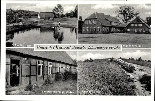 Ak Undeloh in der Lüneburger Heide, Jugendherberge, Bauernhof, Dorfteich, Wilseder Berg