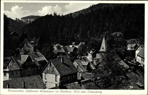 Ak Wildemann Clausthal Zellerfeld im Oberharz, Blick vom Zickzackweg